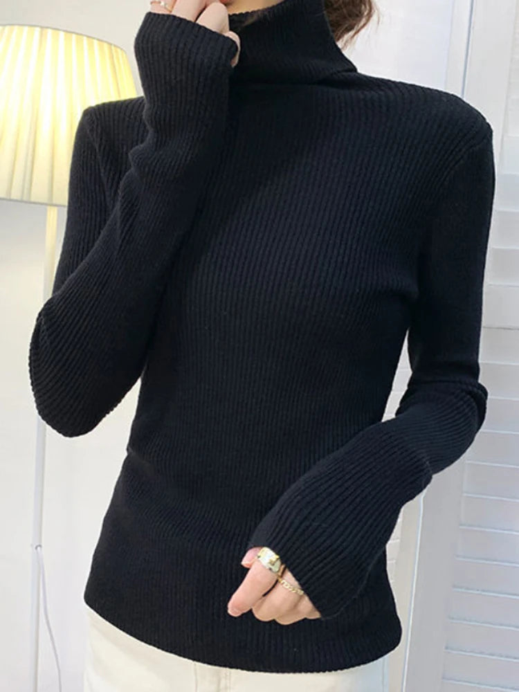 Heliar Women Fall Turtleneck Sweater Knitted Soft Pullovers Cashmere Jumpers Basic Soft Sweaters For Women 2024 Autumn Winter - Dragonbeast