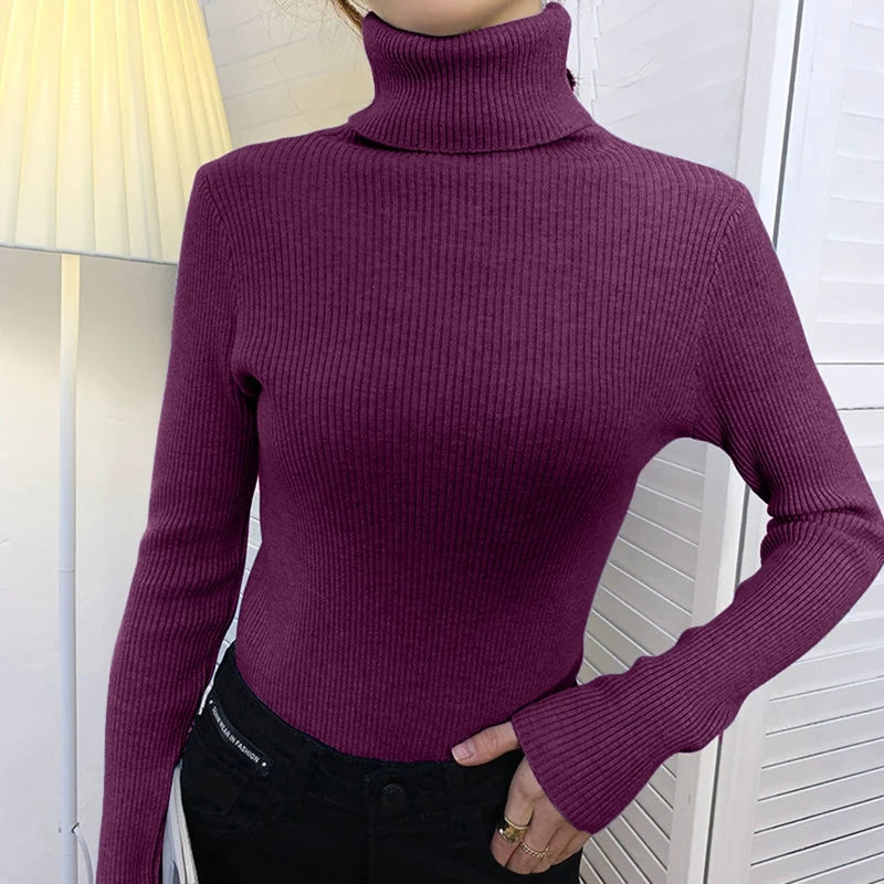 Heliar Women Fall Turtleneck Sweater Knitted Soft Pullovers Cashmere Jumpers Basic Soft Sweaters For Women 2024 Autumn Winter - Dragonbeast